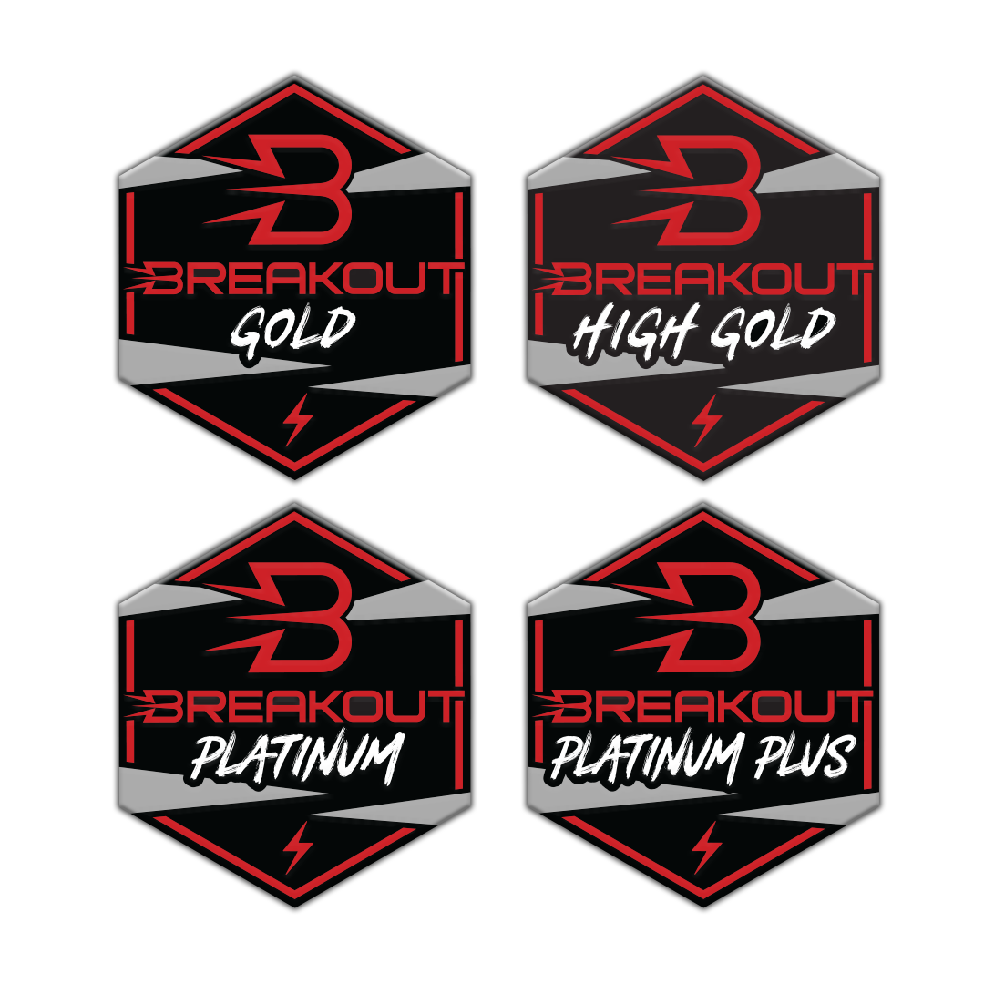 Breakout Adjudication Pins