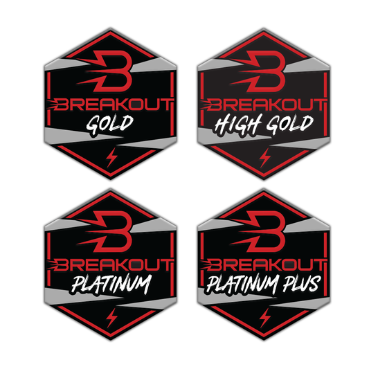 Breakout Adjudication Pins