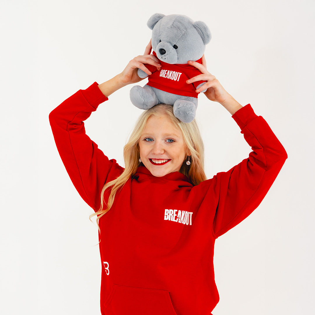 Breakout Plush Gray Bear