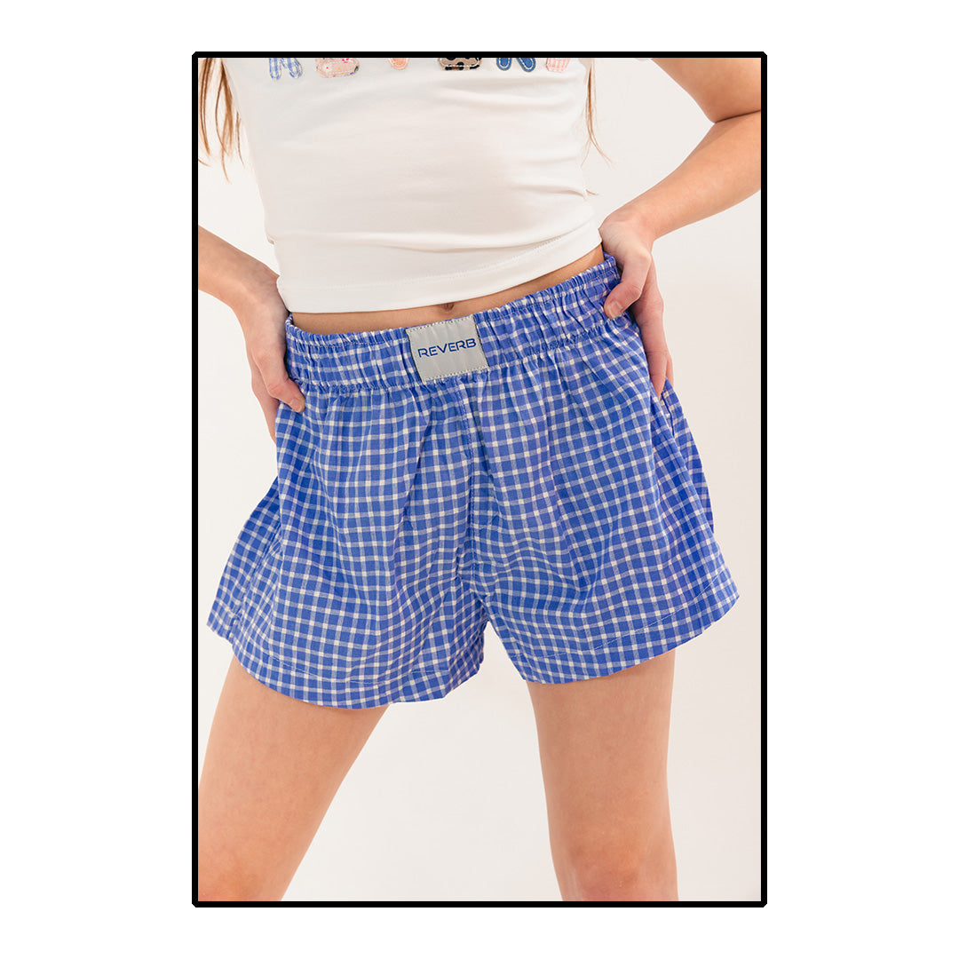 Reverb Blue Gingham Shorts