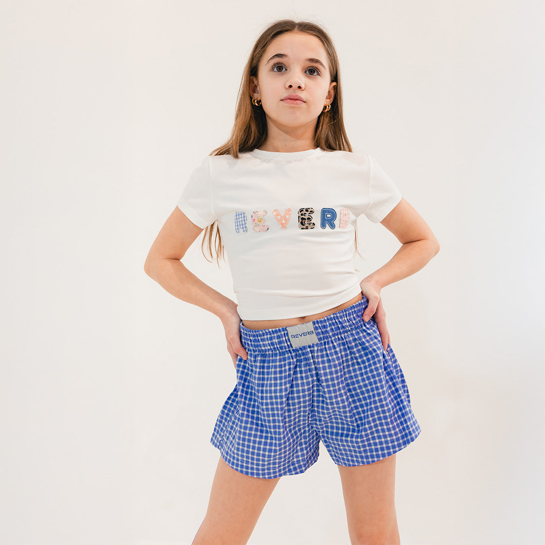 Reverb Blue Gingham Shorts